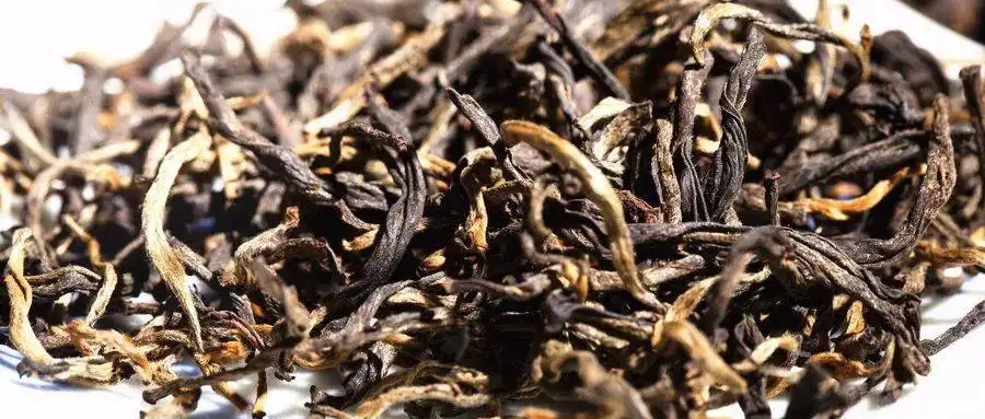 什么是茶氣？茶氣強(qiáng)勁又是一種怎樣的體驗(yàn)？