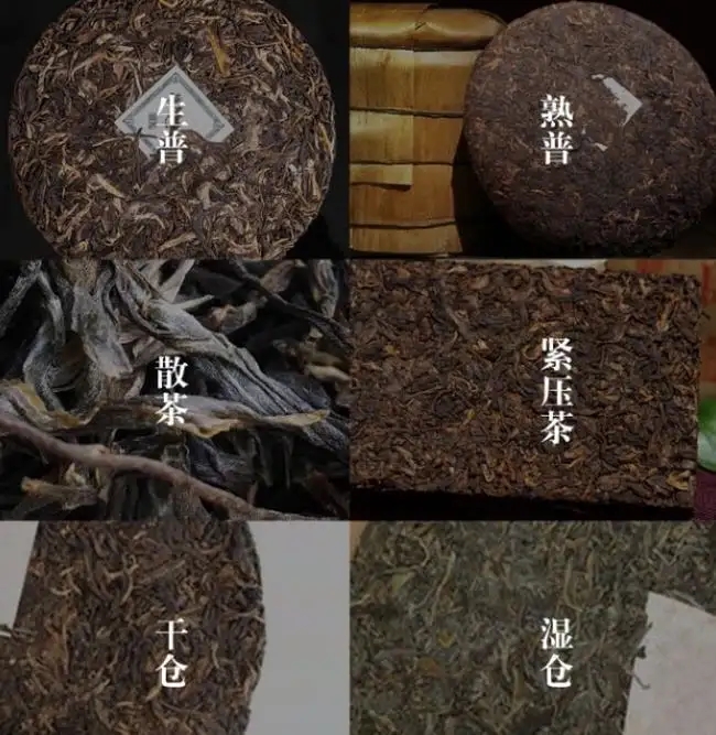 普洱茶不是越陳越香嗎？怎么也有最佳品飲期？