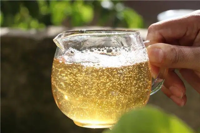 茶顏觀色”，看普洱茶條索里都蘊(yùn)含著怎樣的“密碼”？