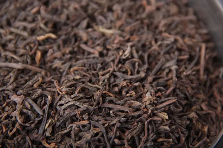 品懂熟茶丨新制的熟茶怎么品評(píng)？