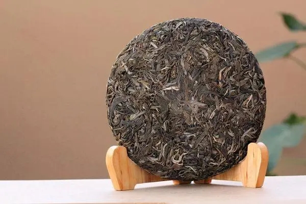 普洱茶入門首要問題，弄清楚，才能喝好茶