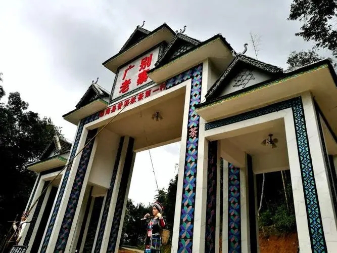 2023年廣別老寨古樹春茶品質(zhì)如何？