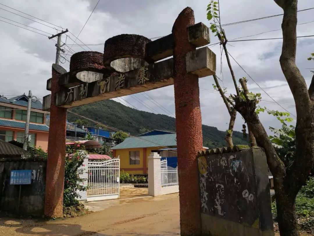 2023年廣別老寨古樹春茶價(jià)格多少？