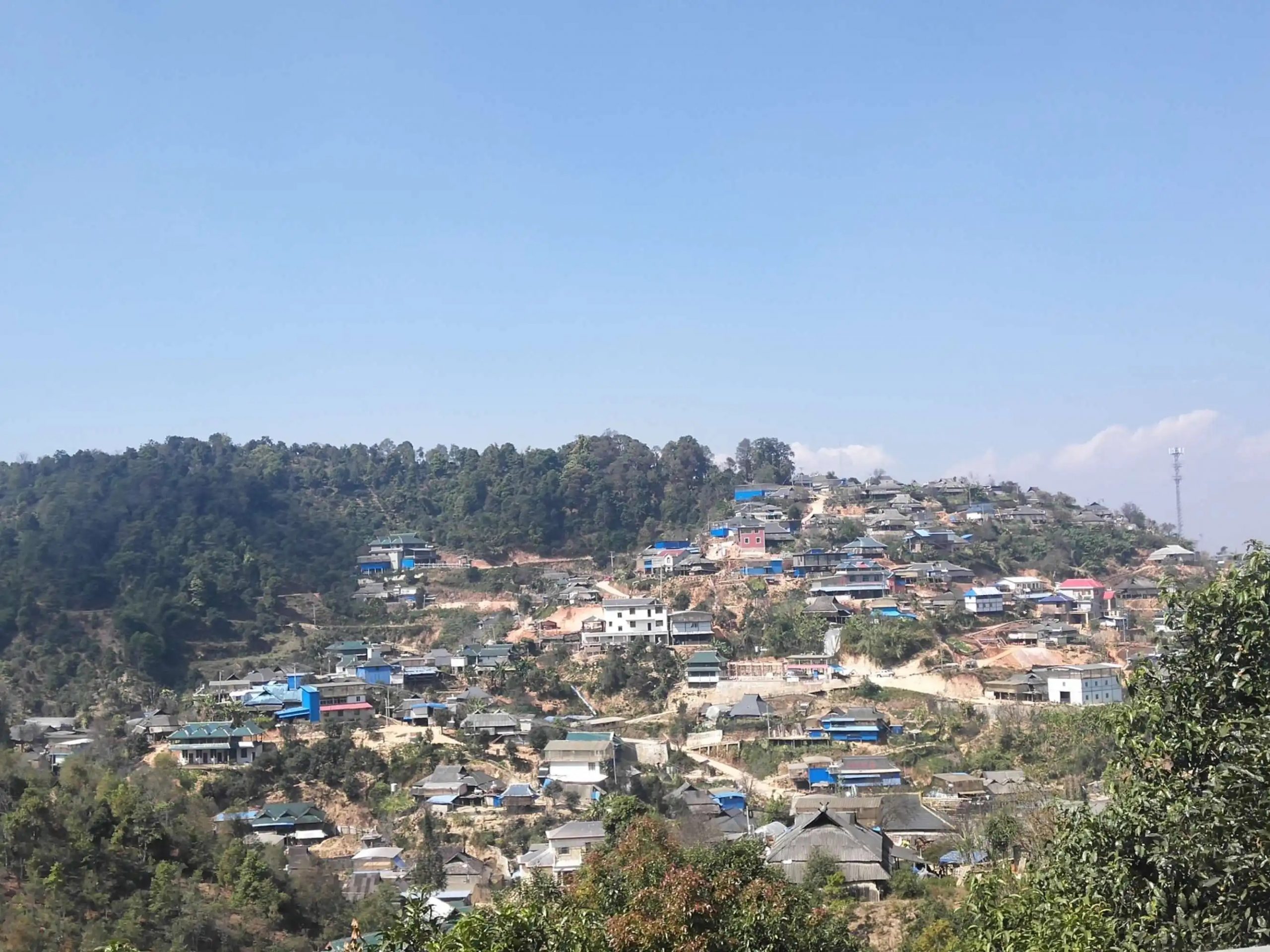 2023年帕沙古樹(shù)春茶品質(zhì)如何？