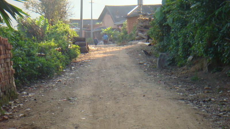 2023年保塘老寨古樹春茶價格是多少？