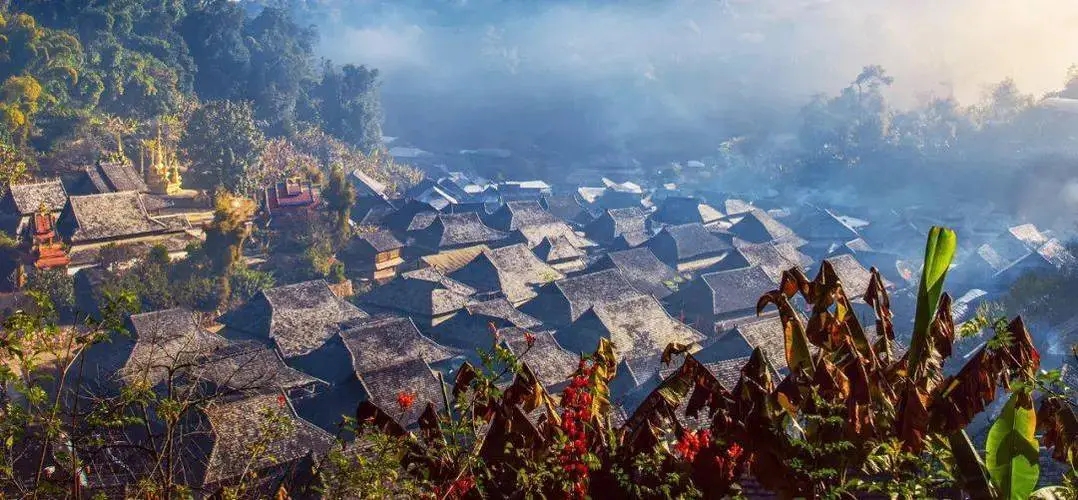 2023年景邁古樹春茶品質(zhì)如何？