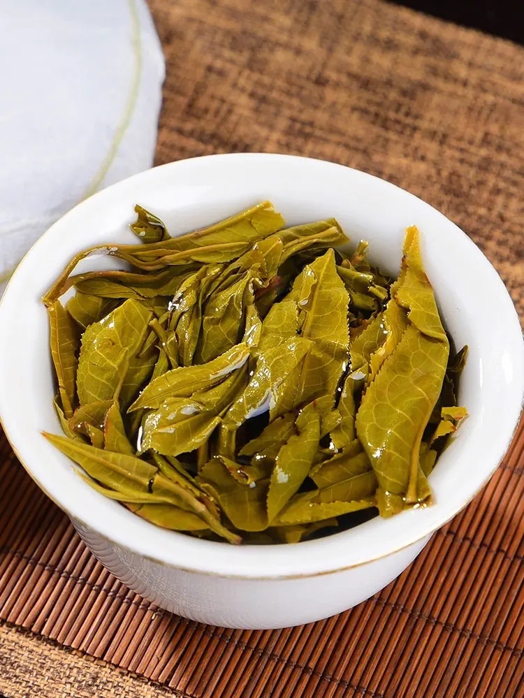 2023白鶯山古樹春茶特點是什么？