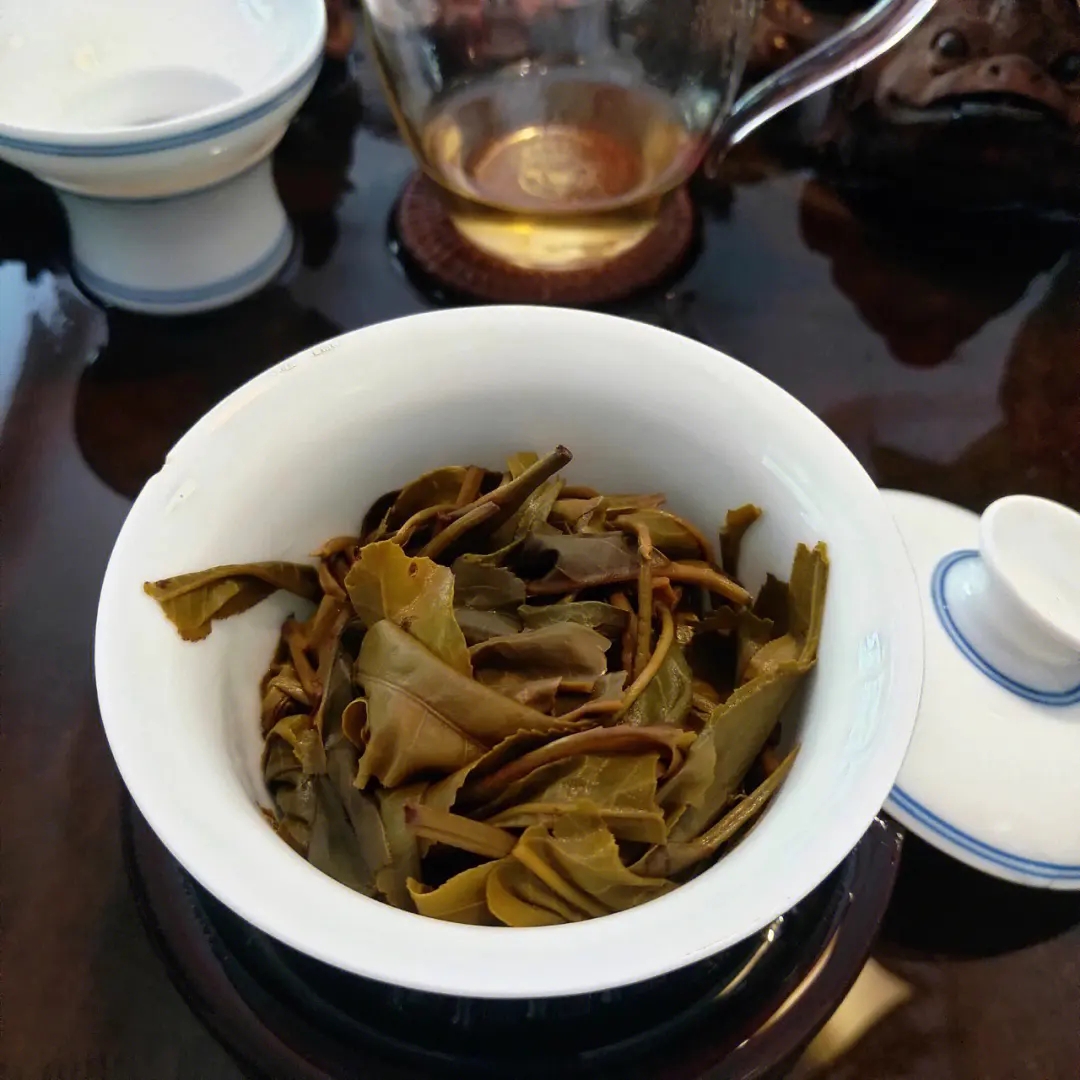 2023年昔歸古樹春茶口感如何？