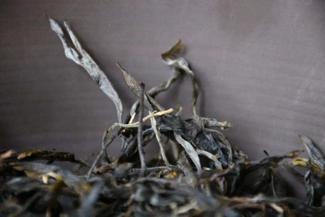 2023年正氣塘古樹春茶多少一公斤？