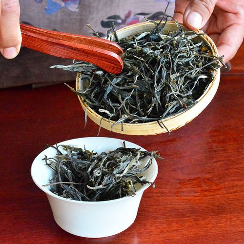 2023年地界古樹春茶口感是什么？