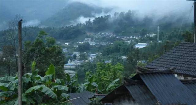 2023年勐庫(kù)豆腐寨古樹春茶口感怎么樣？