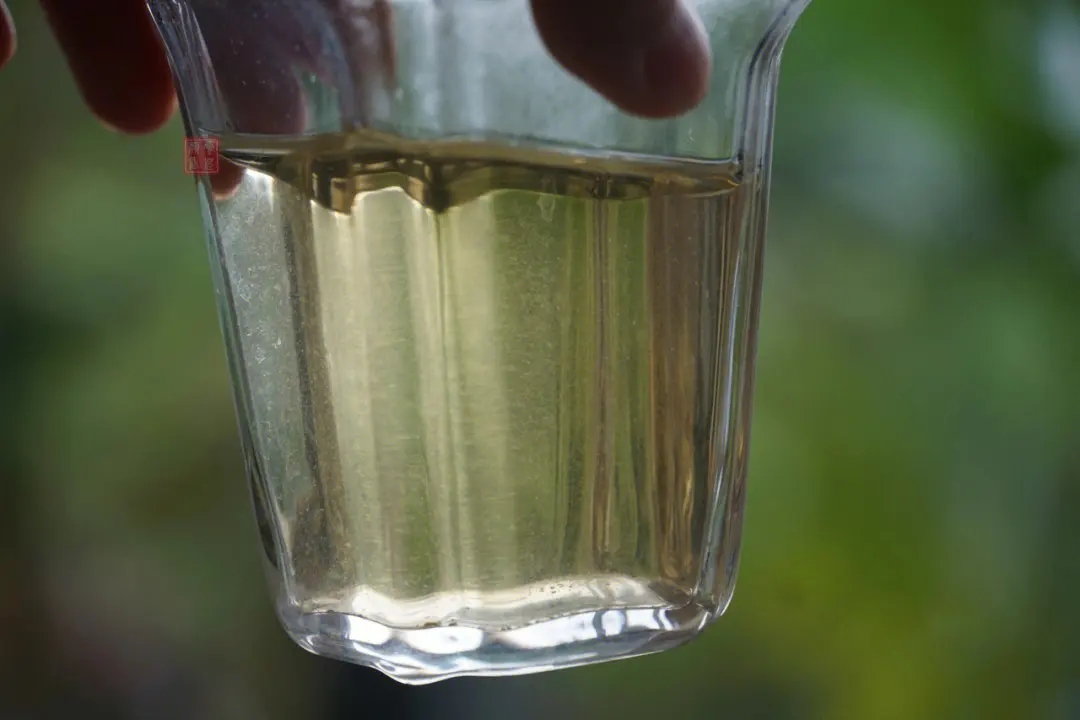 2023年多依樹古樹春茶價(jià)格是多少？