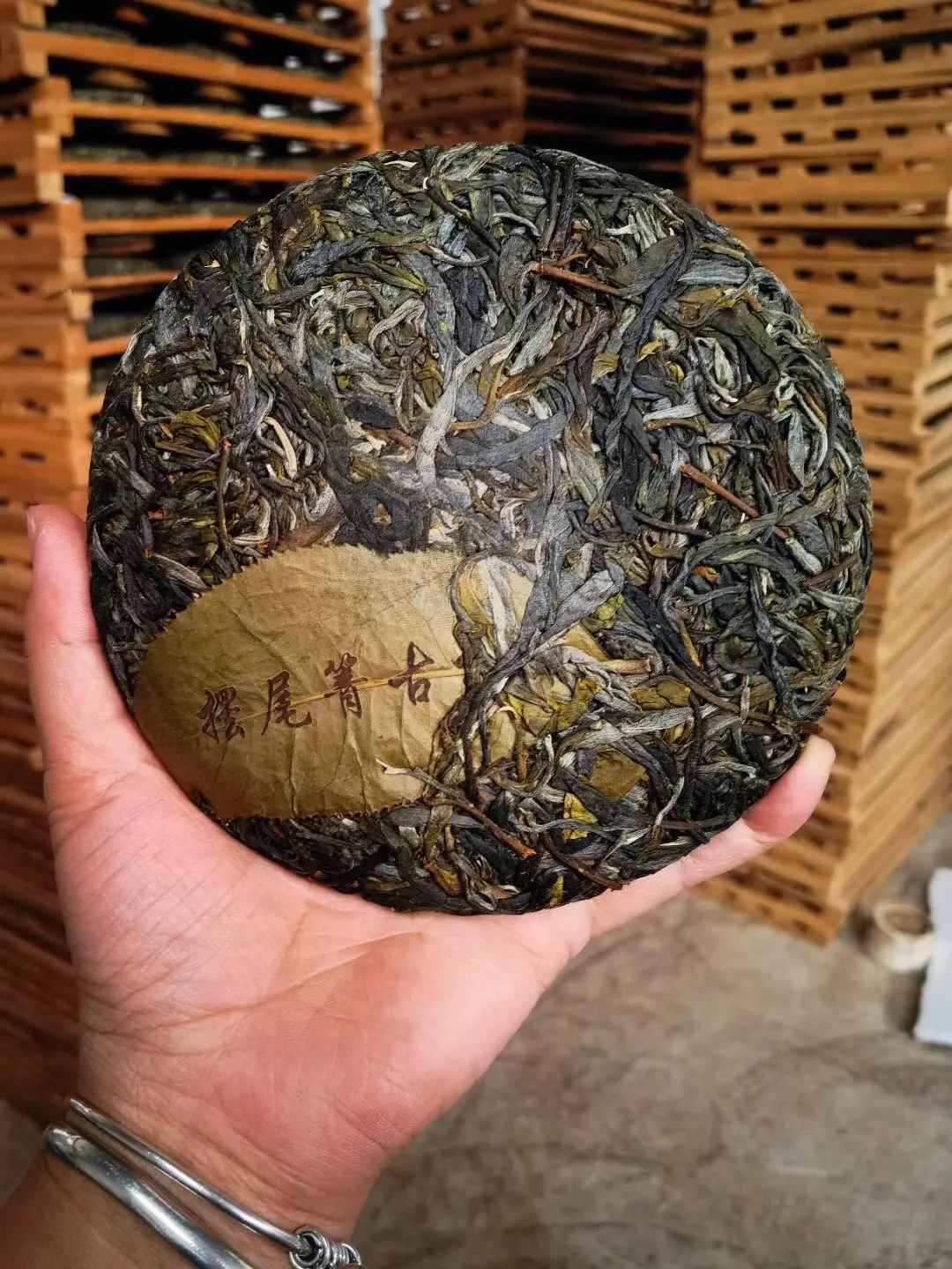 2023年寧洱擺尾箐古樹春茶品質(zhì)怎么樣？