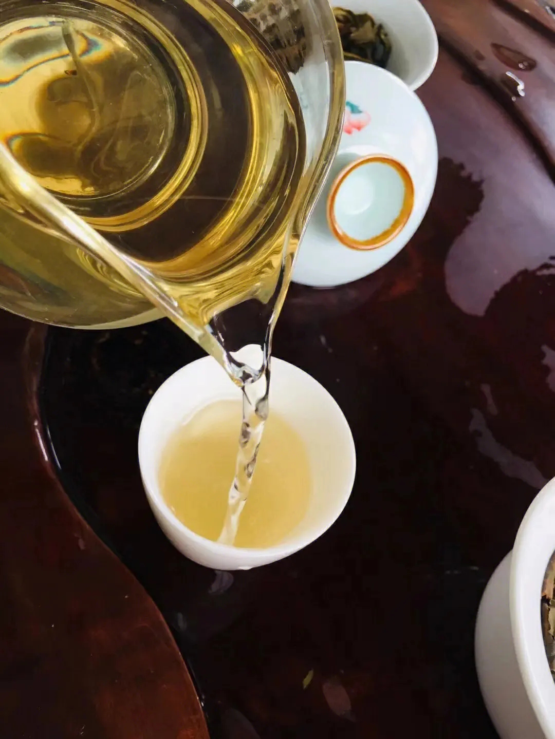 2023年鎮(zhèn)沅老海塘古樹春茶價格是多少？