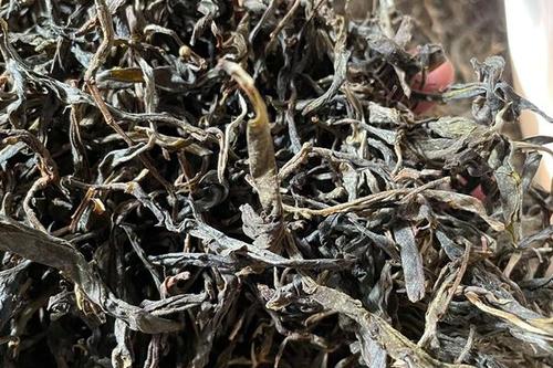 2023年鎮(zhèn)沅老烏山古樹春茶多少一公斤？