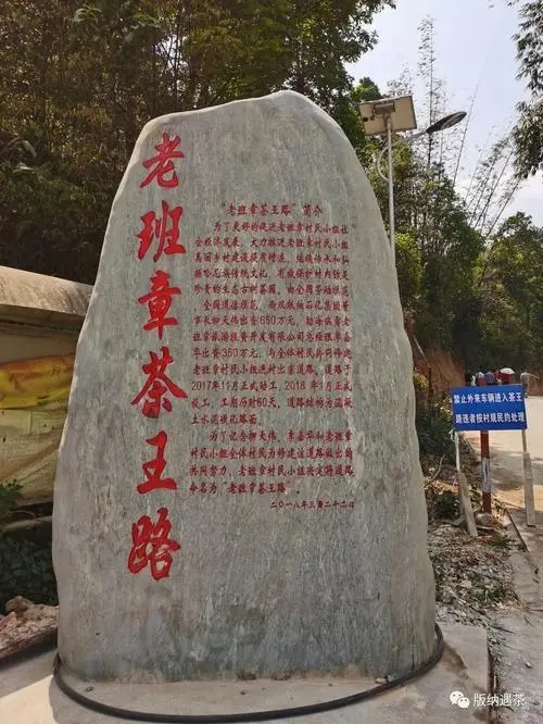 2024年老班章古樹春茶品質(zhì)如何？