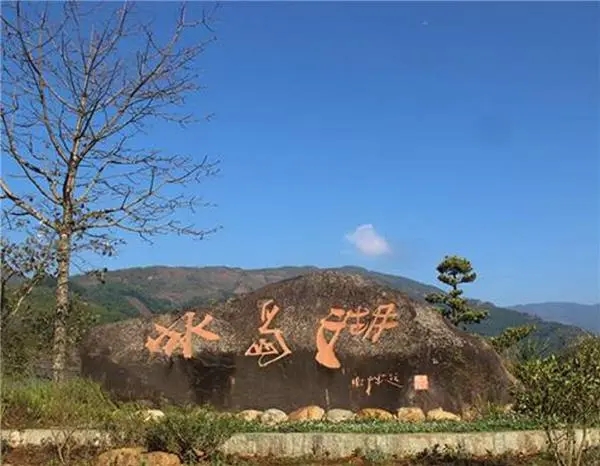 2024年冰島老寨古樹春茶品質(zhì)怎么樣？