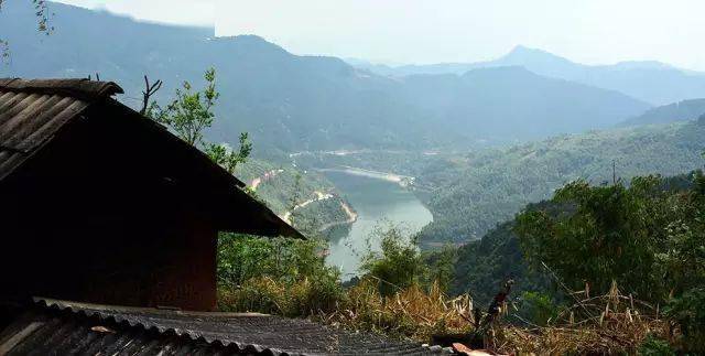 2024年磨烈古樹春茶價(jià)格多少？