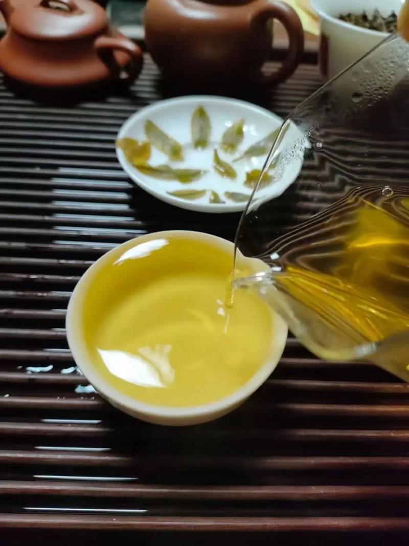 倚邦貢茶，甘甜醇柔